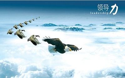 领导力 天津企业管理者创业成功的第一步